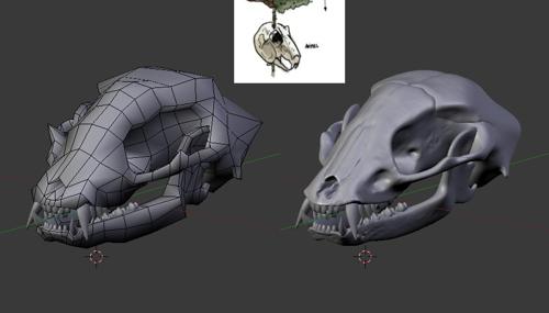 Raccoon Skull preview image